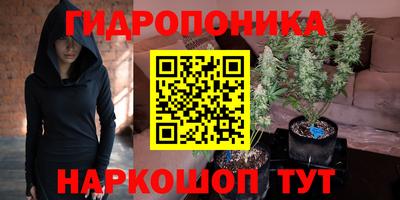 a pvp Краснодар