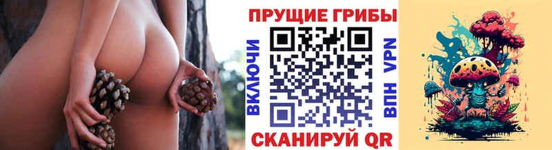 Псилоцибиновые грибы Cubensis купить закладку omg зеркало Котельники