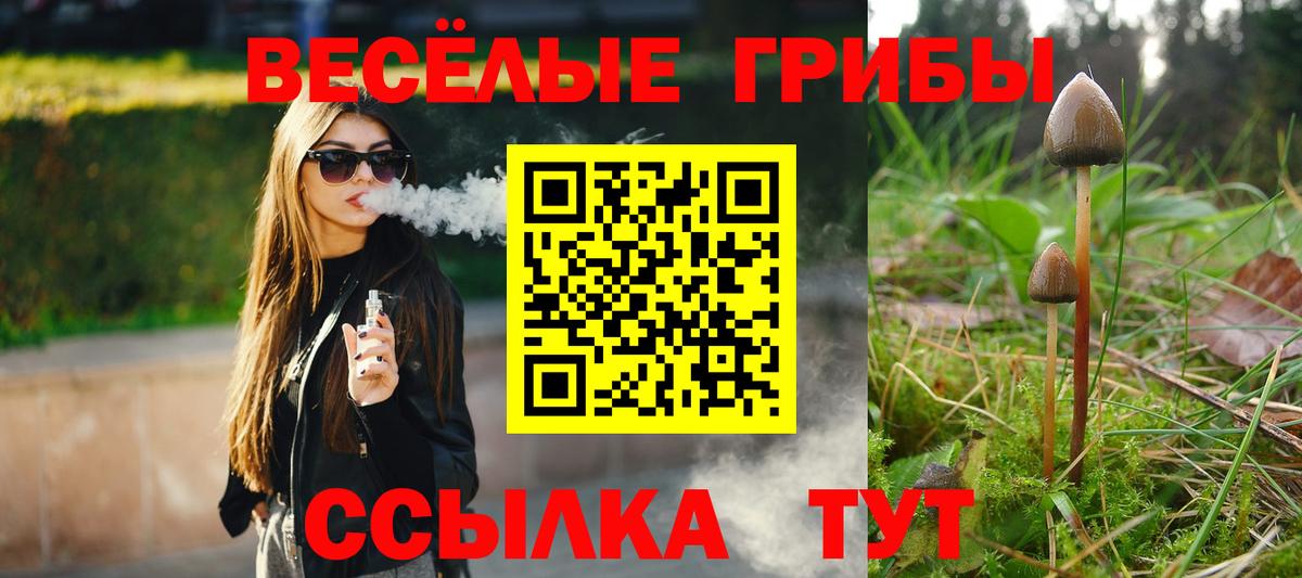Галлюциногенные грибы Psilocybe  Вход с VPN  Котельники 